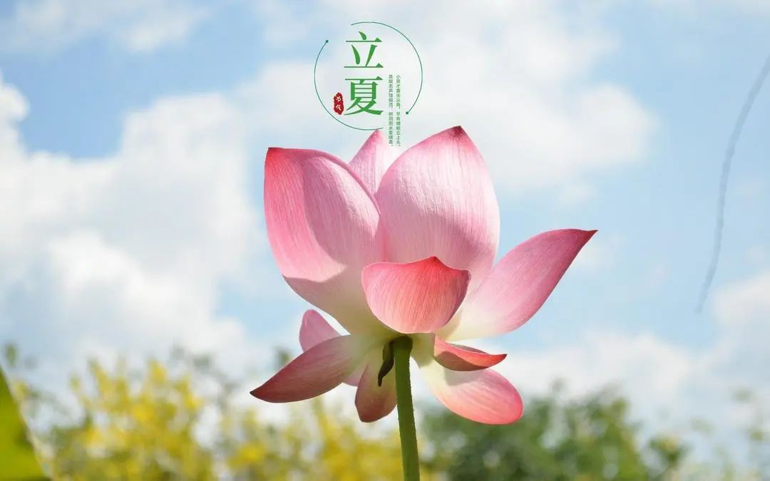 二十四节气 | 立夏：万物繁茂始立夏